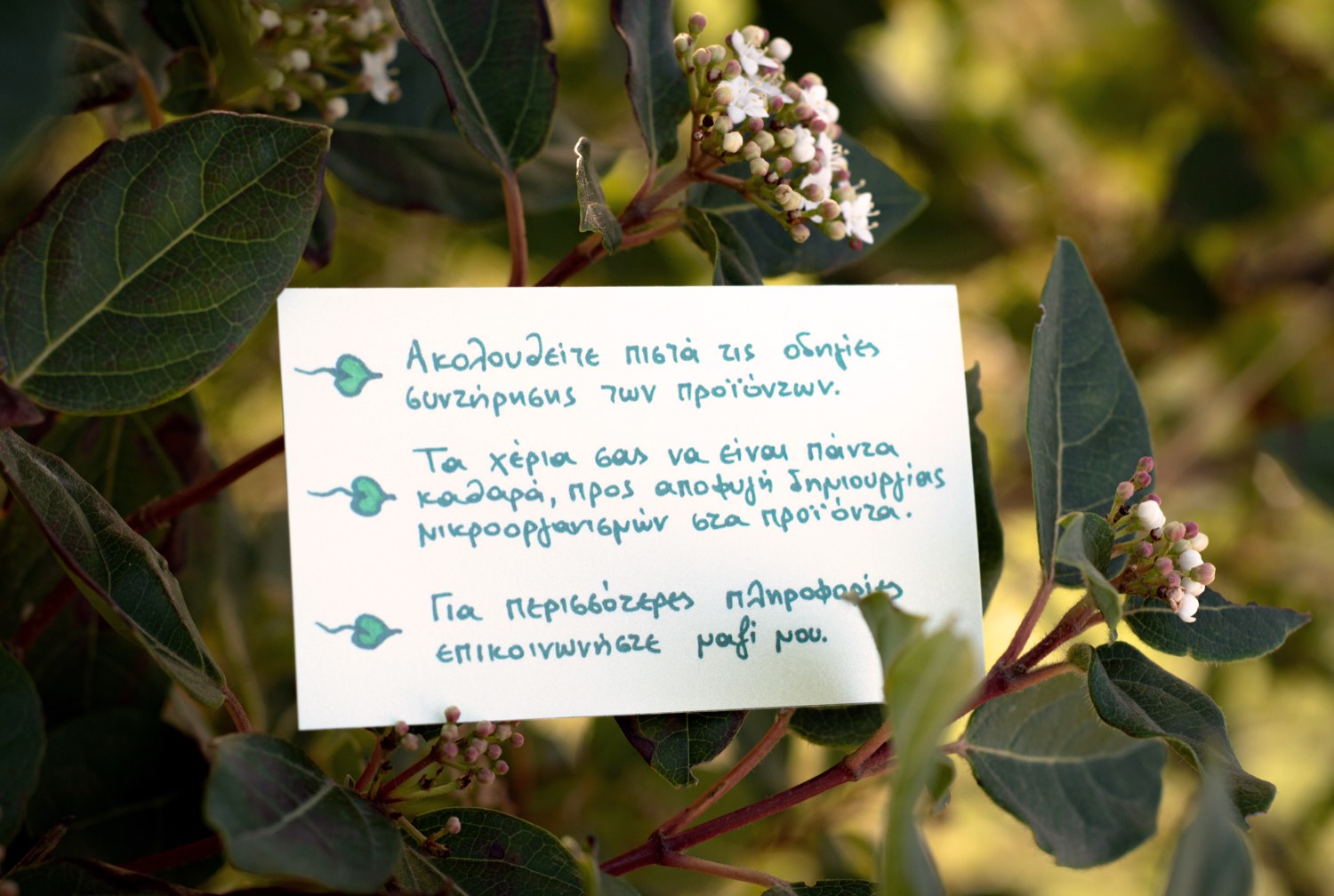 Κάρτα Nefeli's Nature — 100% φυτικά, χειροποίητα προϊόντα
