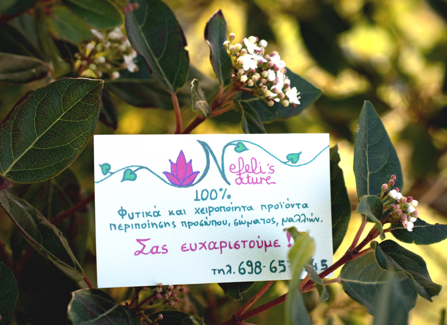 Κάρτα ευχαριστίας Nefeli's Nature